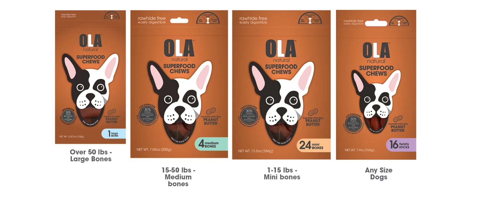 how to train your dog to use the restroom outside