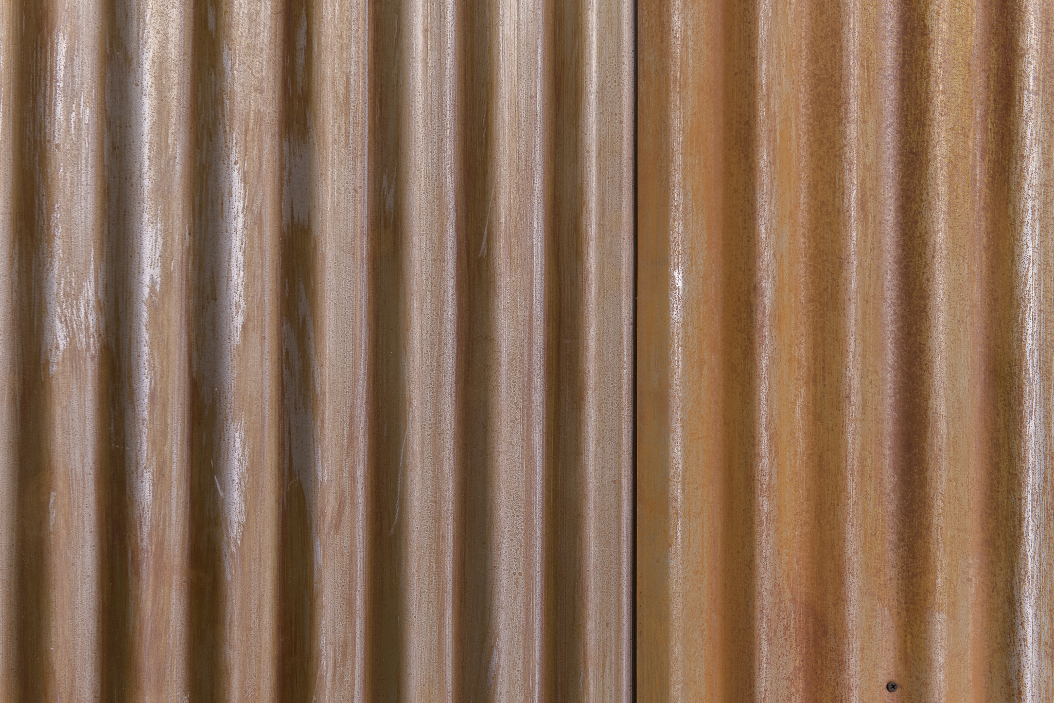 Web Resolution-1025.jpg