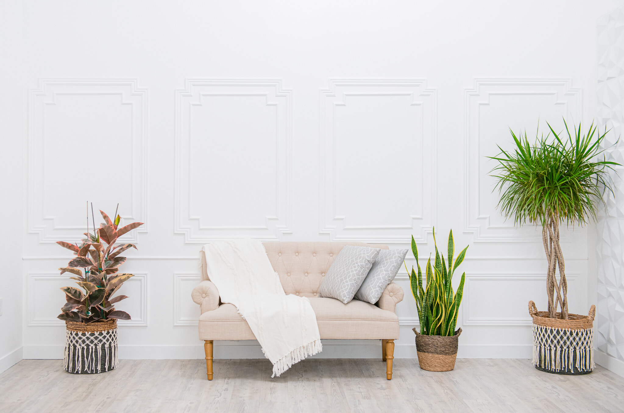 natural light studio wainscoting wall