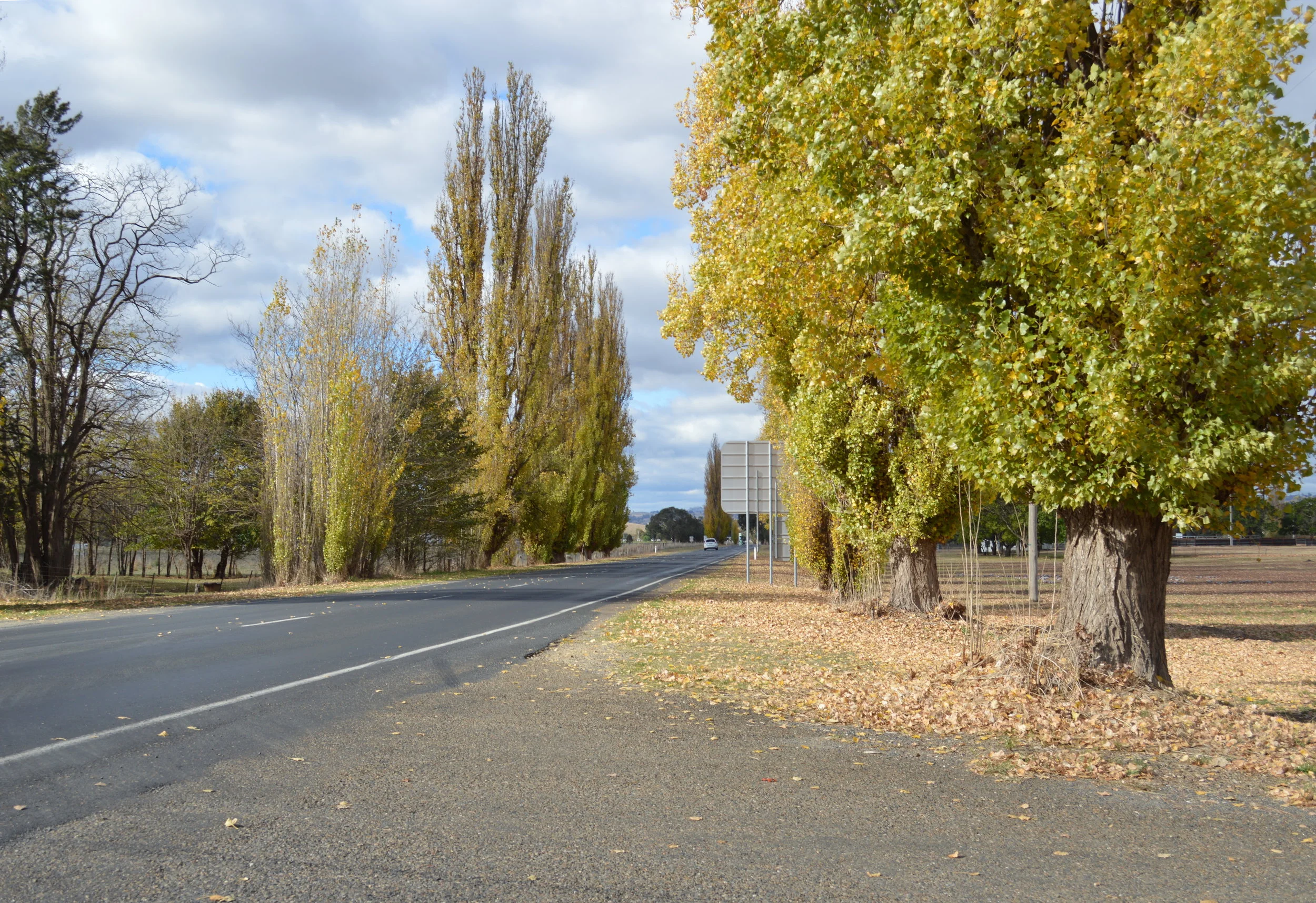 visit-jugiong-placeholder.JPG