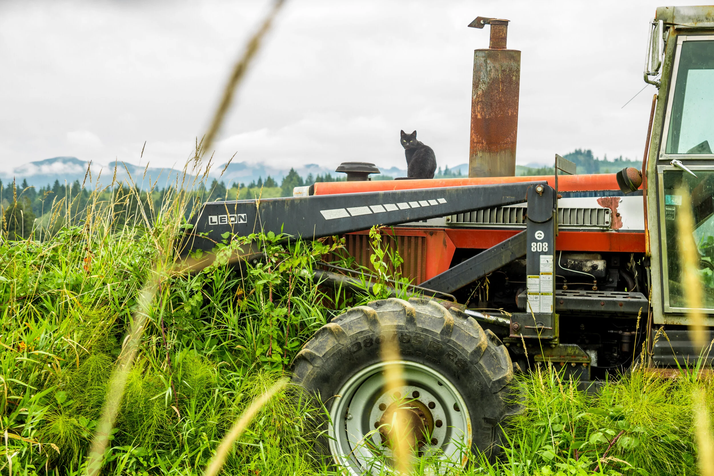 Agtech Equals Opportunities for California's Multi Billion-Dollar Agricultural Industry