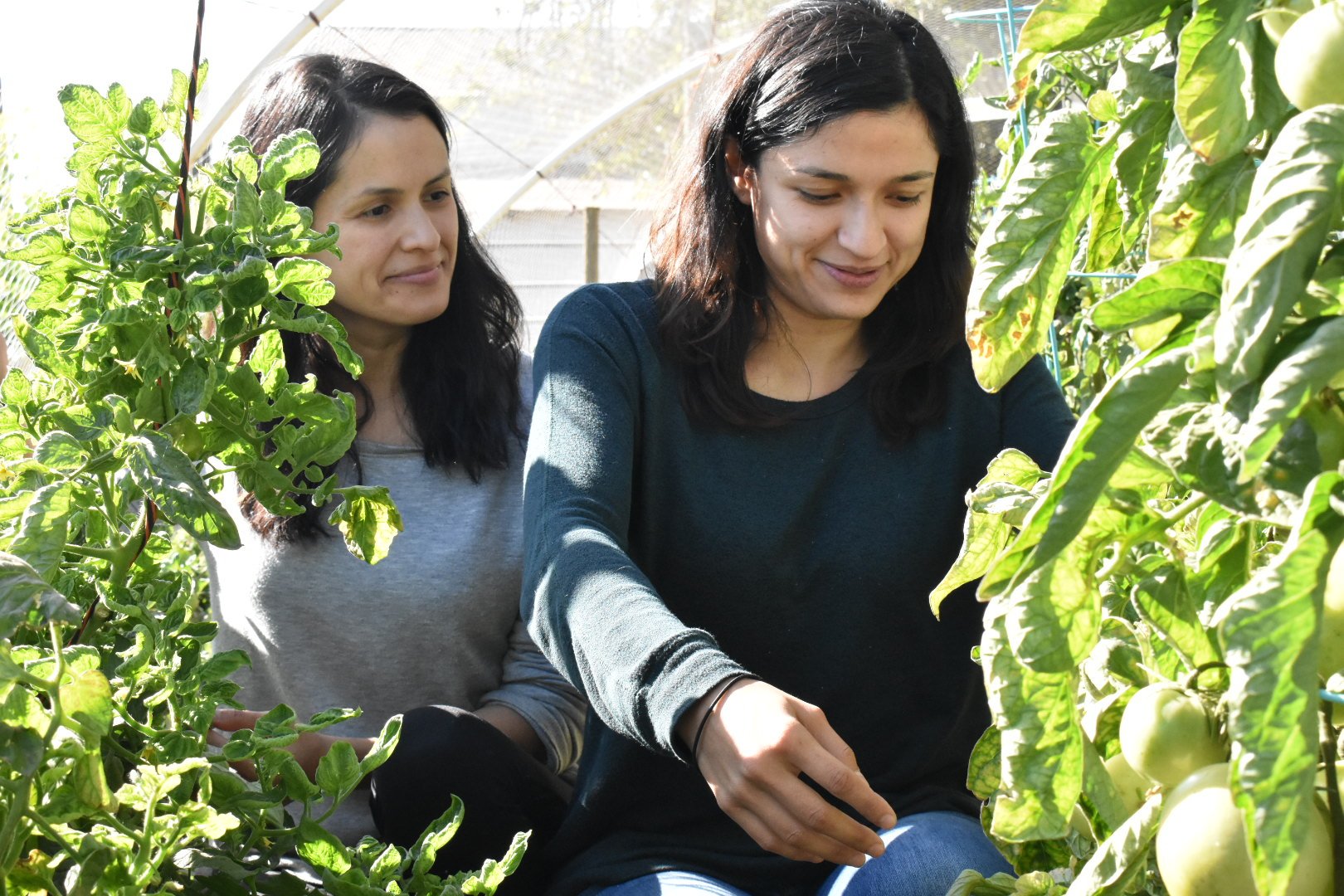 From Farms to Incubators Women in AgTech 3.jpg