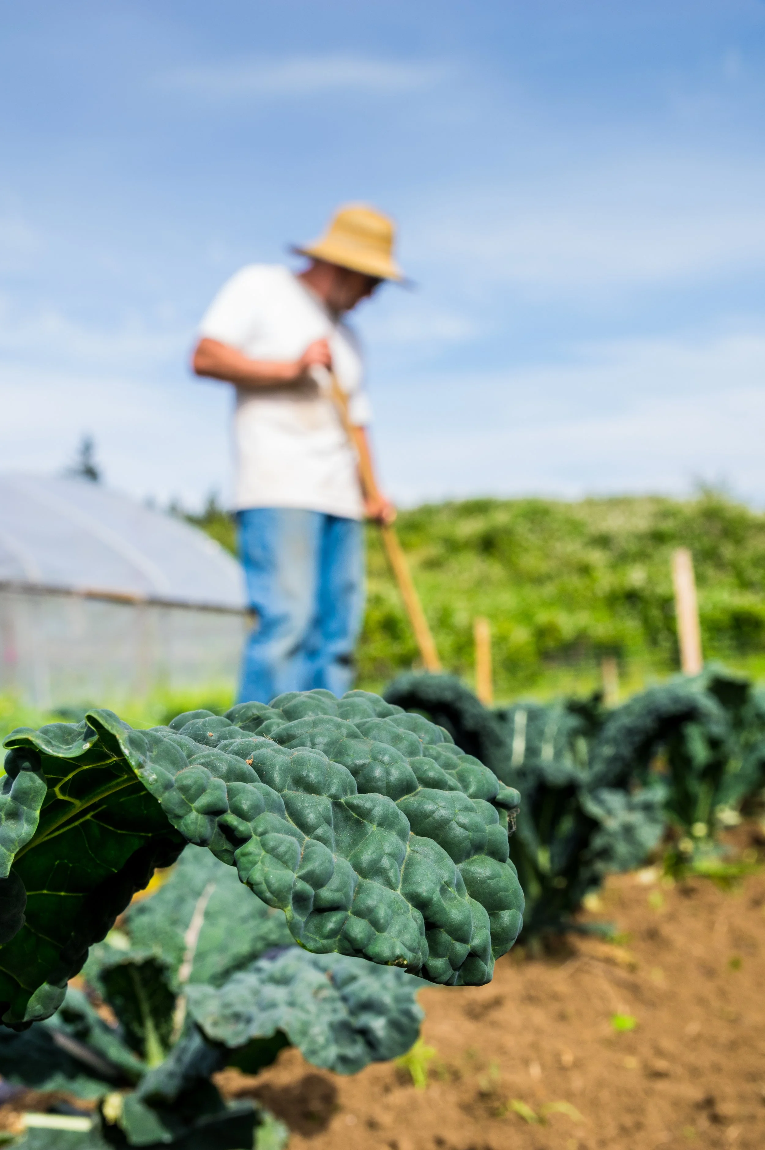 From Farms to Incubators contributes to the 2022 THRIVE TOP50 AgTech & FoodTech Report