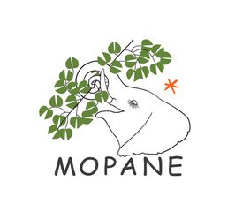 mopane-logo.jpeg