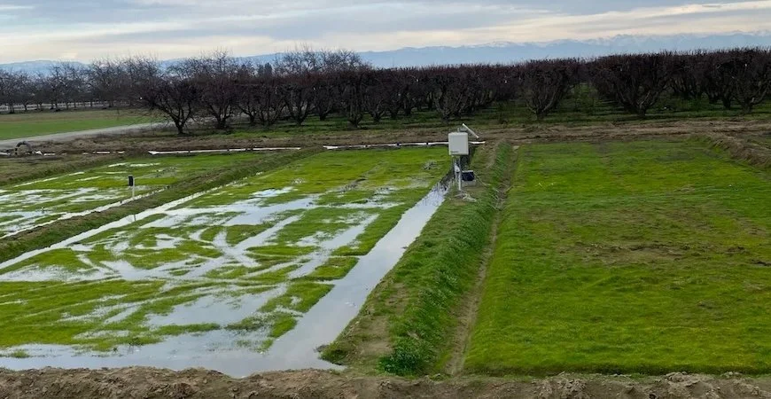 AI In the Fields: UC Merced Researchers Develop Innovation to Help Almond Farmers