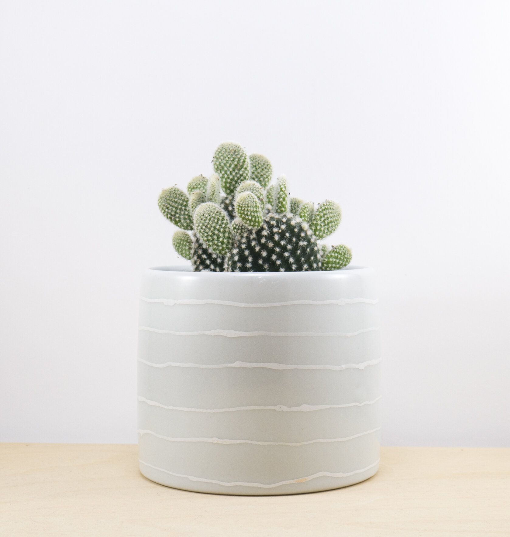 Porcelain Planter Cover