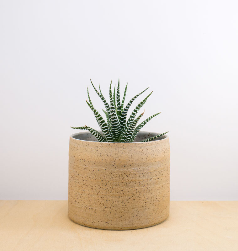Small Planter