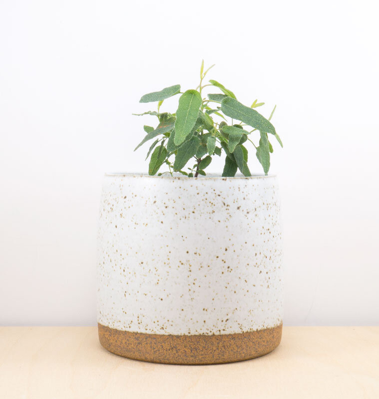 Small Planter