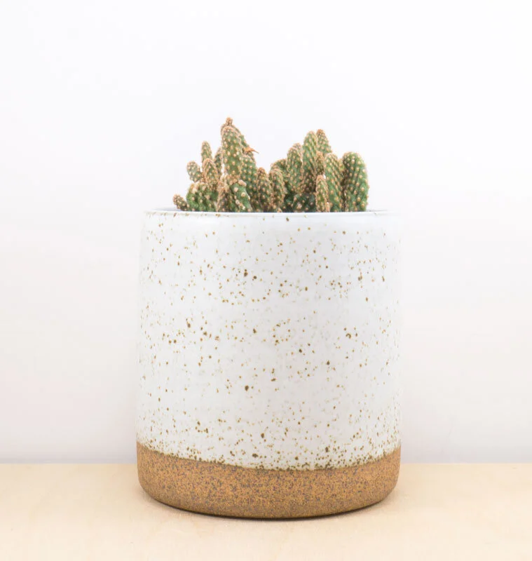 Matte_White_Red_clay_planter_cactus.jpg