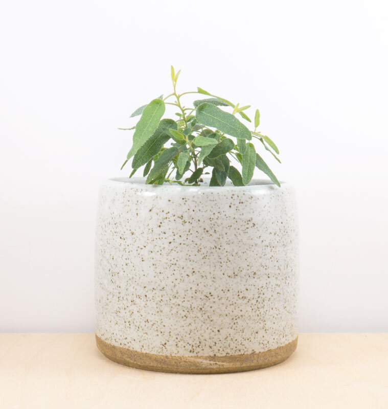 Small Planter