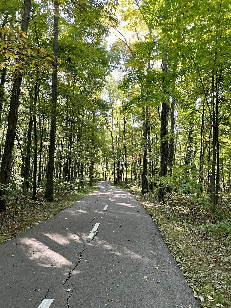 Clearing the Jet Lag Cobwebs