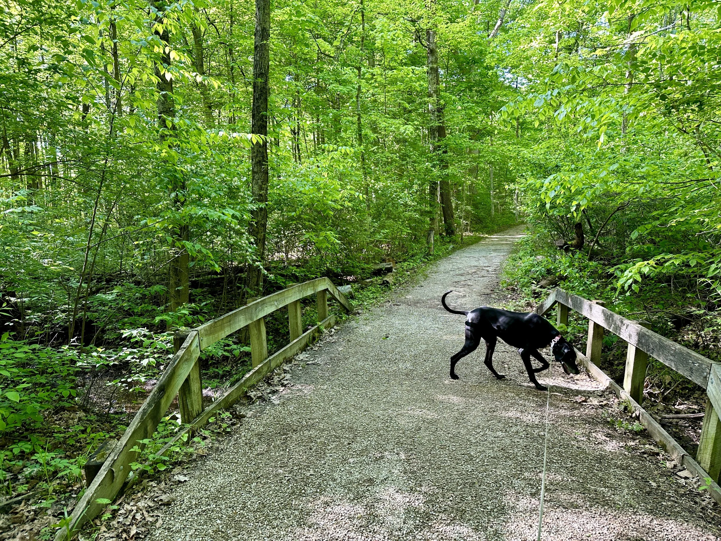 Exploring a New Neighborhood Park