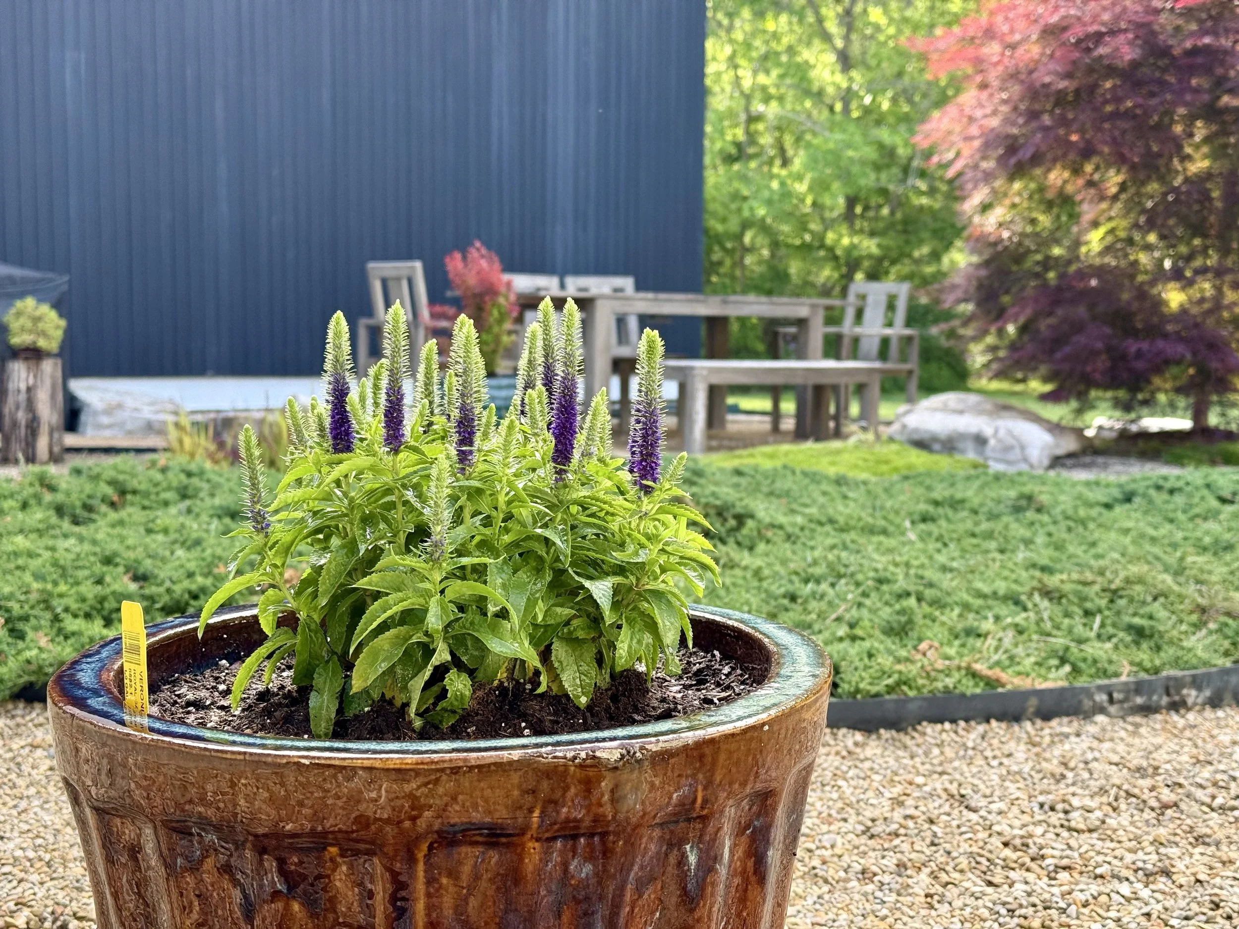 New Plants in Old Containers