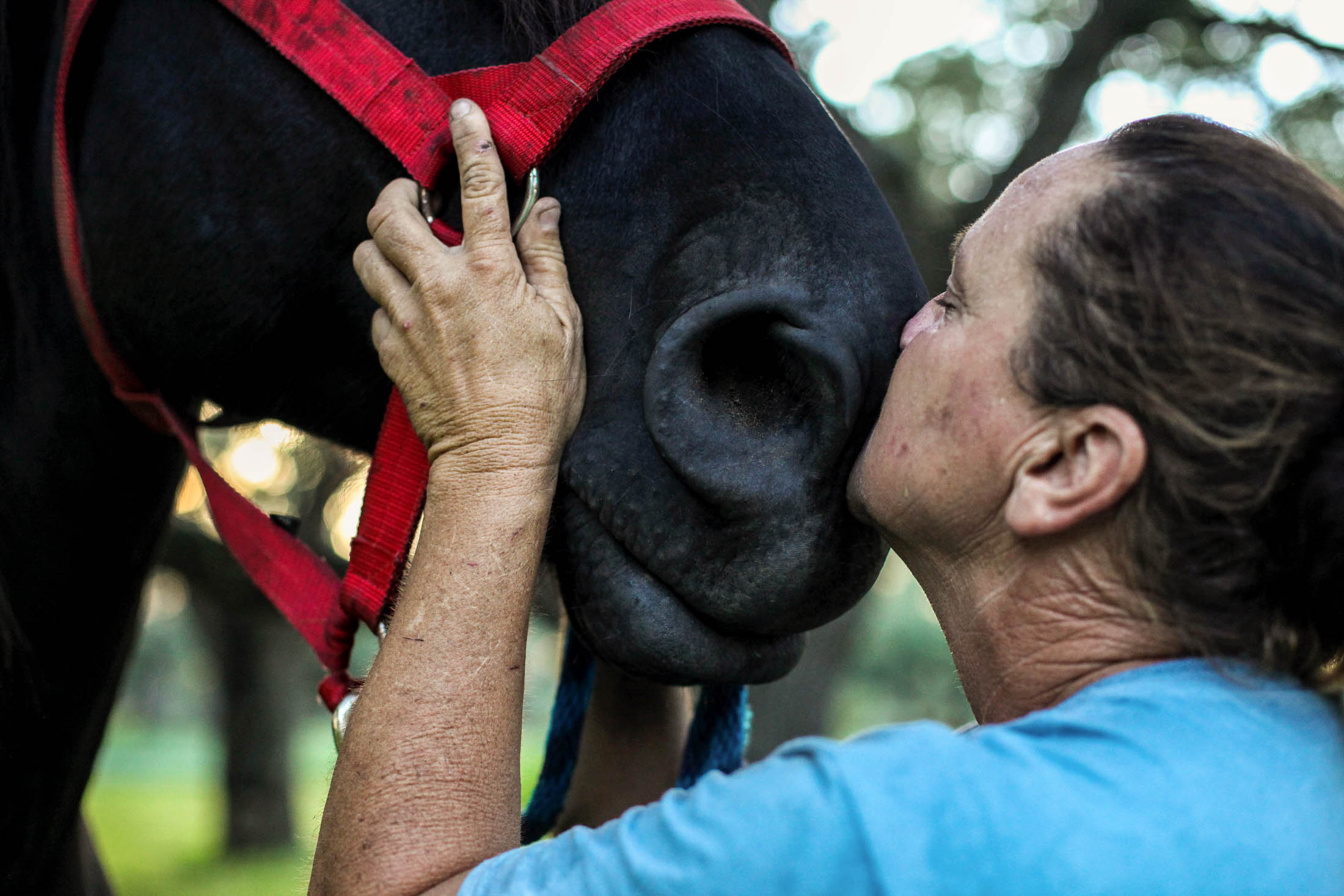  Darla Cherry, 54, kisses the nose of her rescued horse King at Meadow Haven Horse Rescue on Tuesday, Oct. 2, 2018. "A horse’s breath is my favorite smell," she said. 