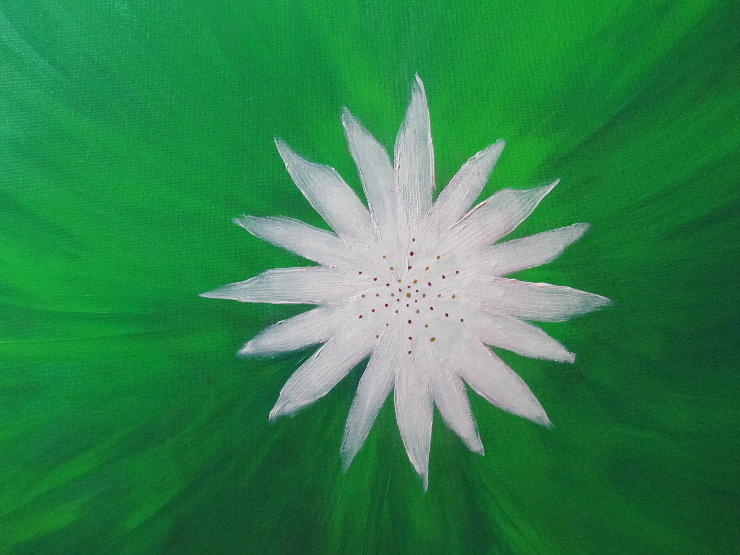 But what can I DO in these times of crisis?