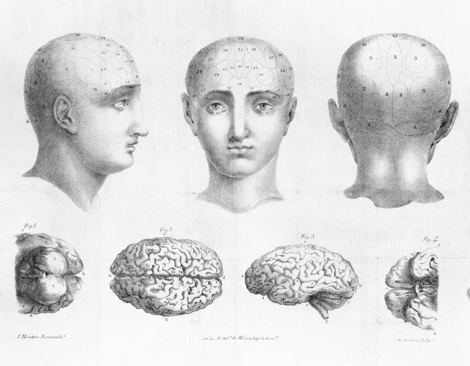 Phrenology, 1835 / Wellcome Images