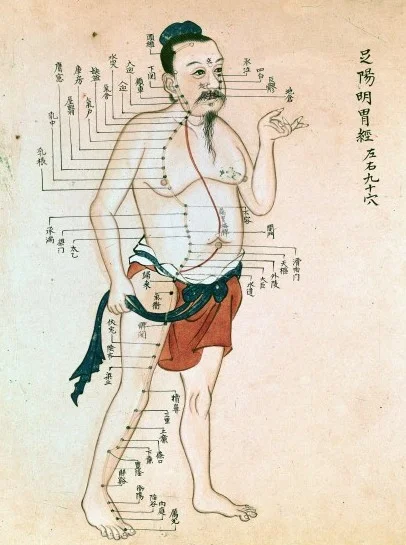 Acupuncture Chart / Wellcome Images