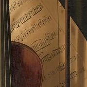 Violin