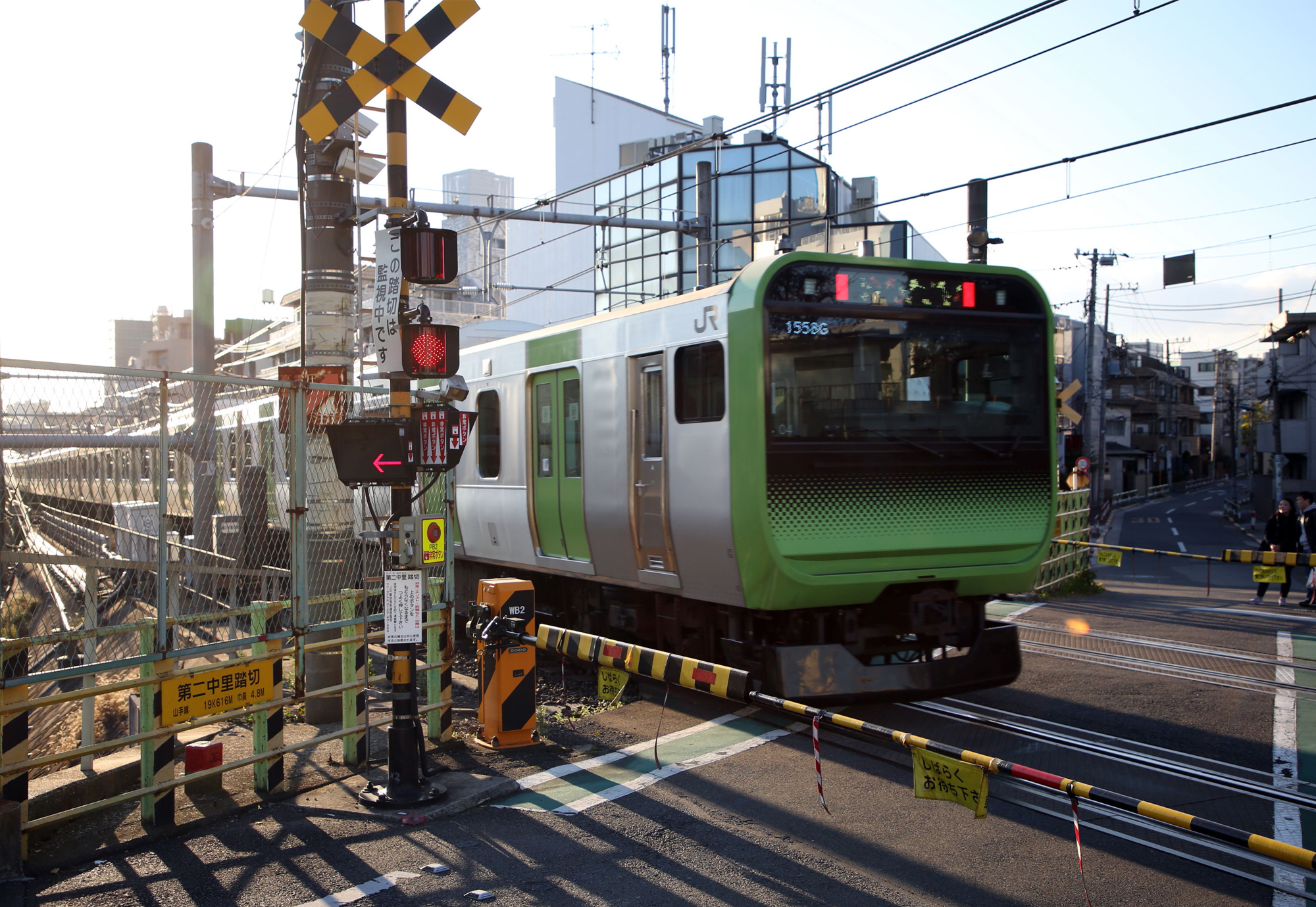 Tokyo Seeds