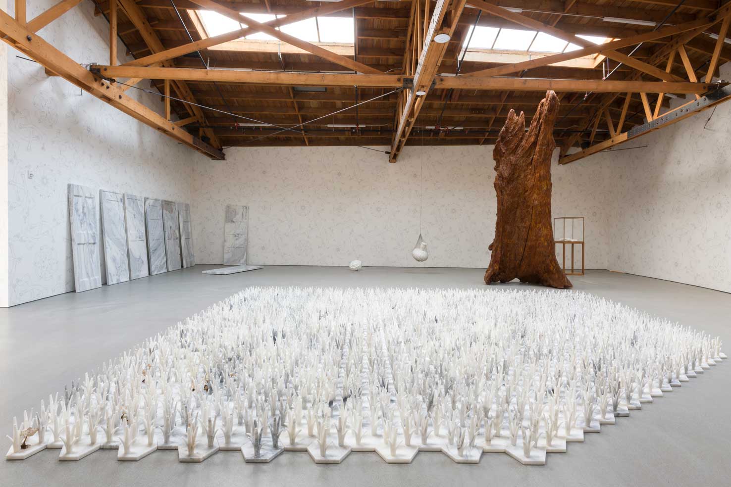 Installation view of Cao Humanity Photo by Jeff Mclane