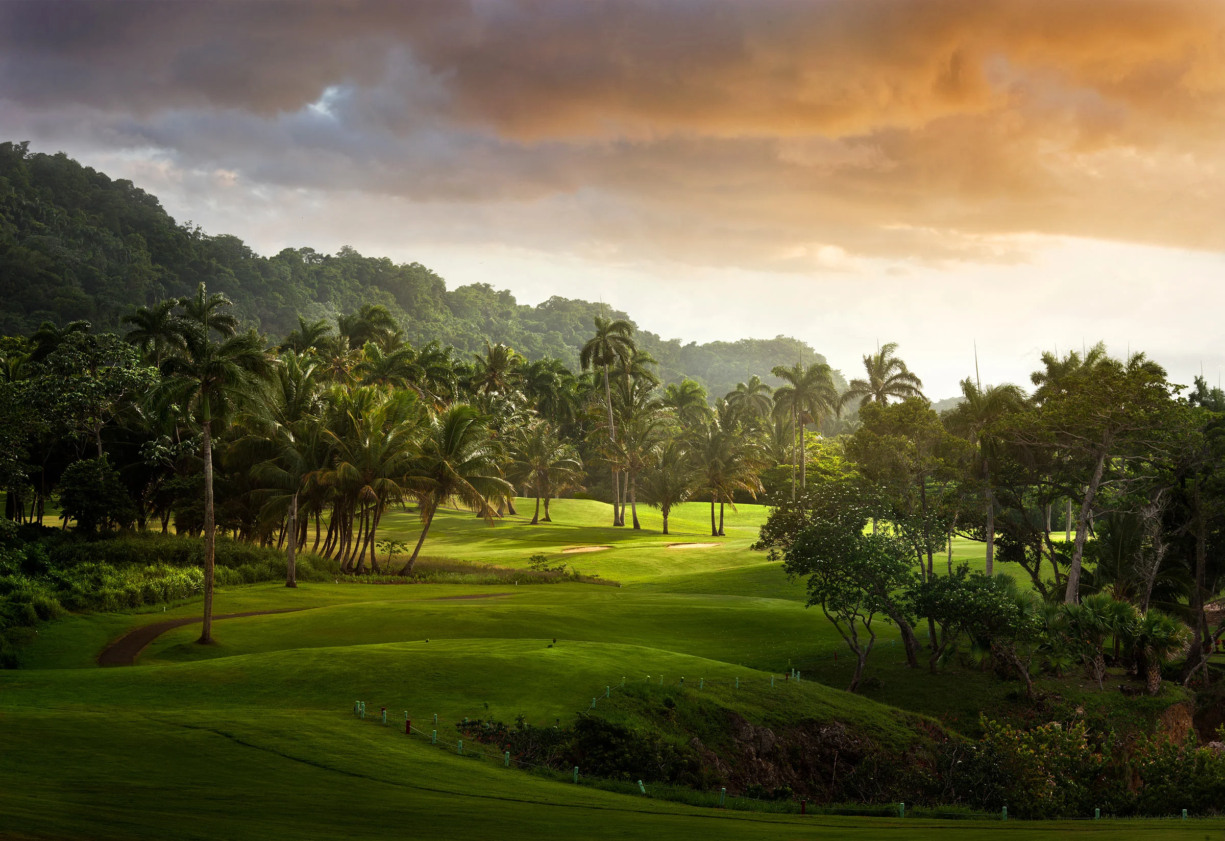 RS1313_Amanera---Golf-Course.jpg