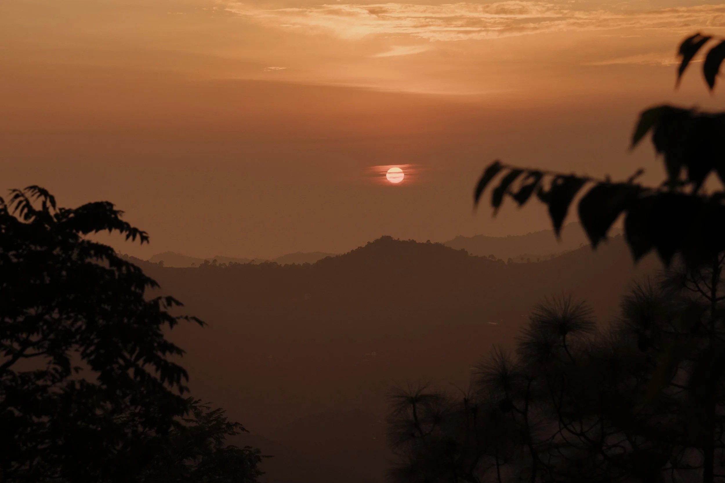 Copy of AMAYA-117.jpg