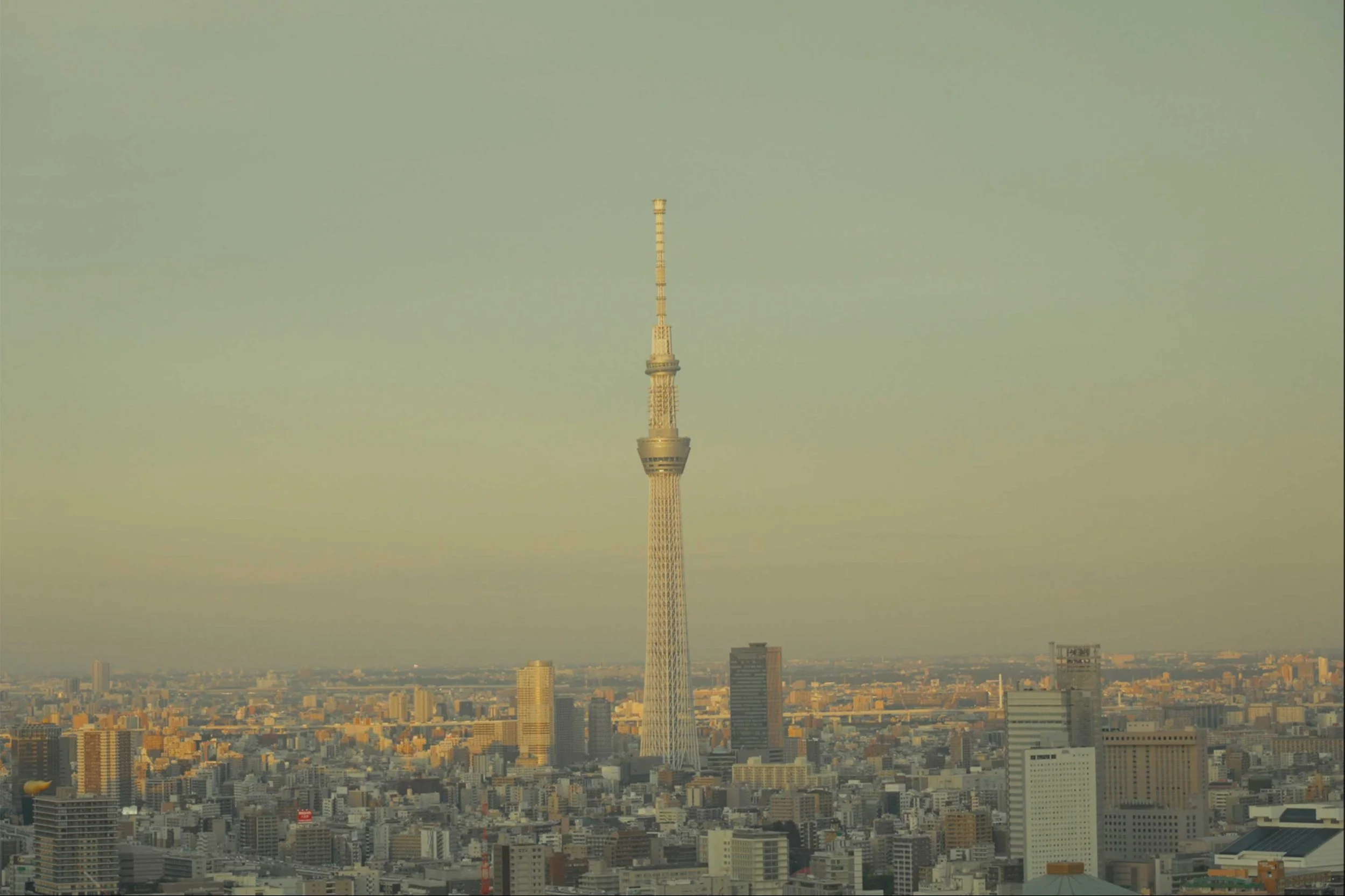 How Design Anthology and Aesop Designed a Different Way to Experience Tokyo