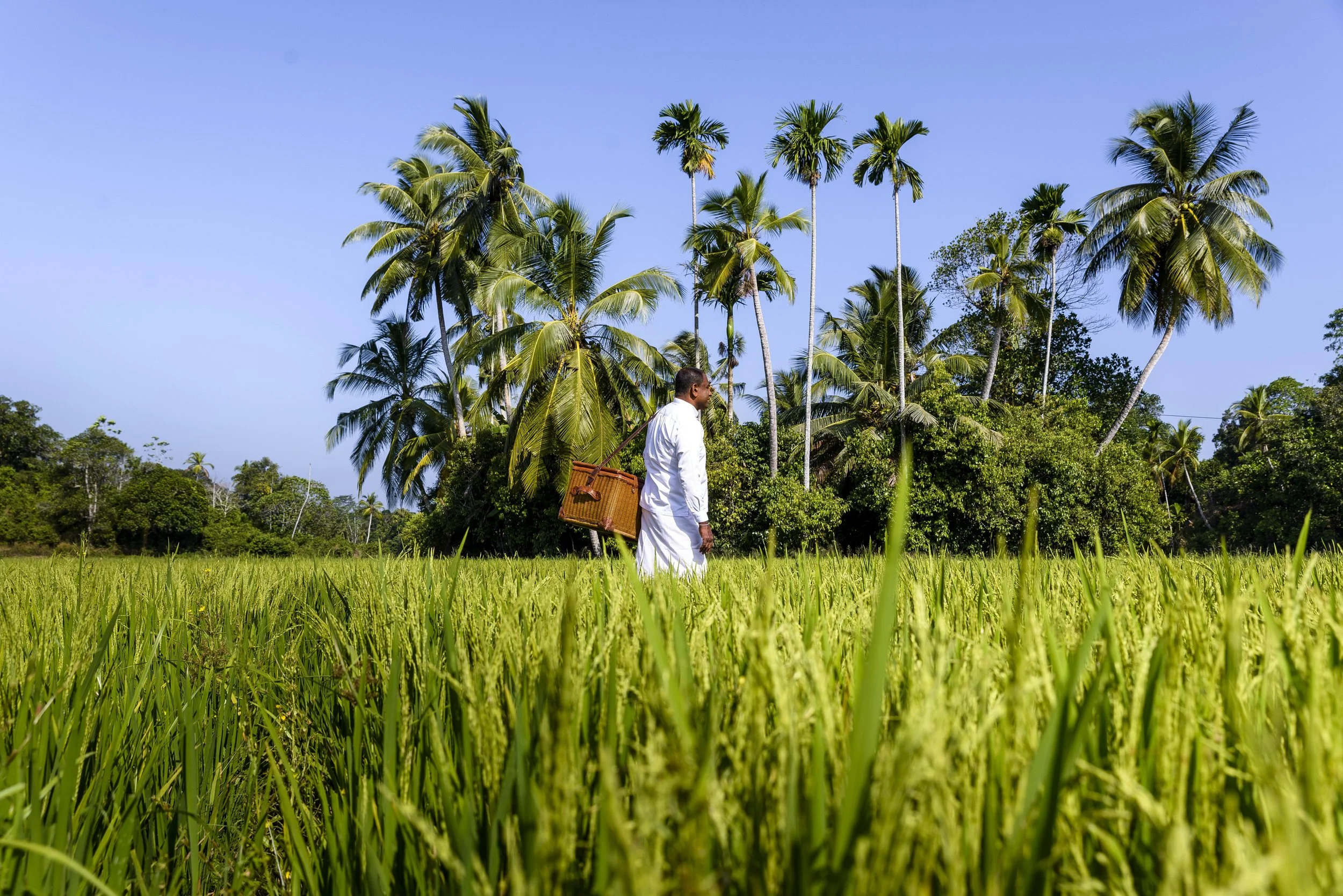 Amangalla, Sri Lanka - Cinnamon Tour Picnic.tif.jpg