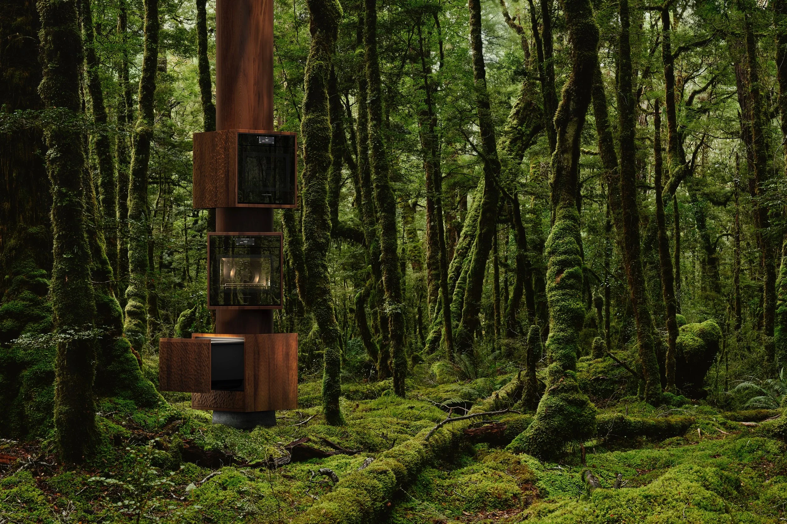 This Kitchen Is Meant to Be Experienced Like a Walk in the Forest