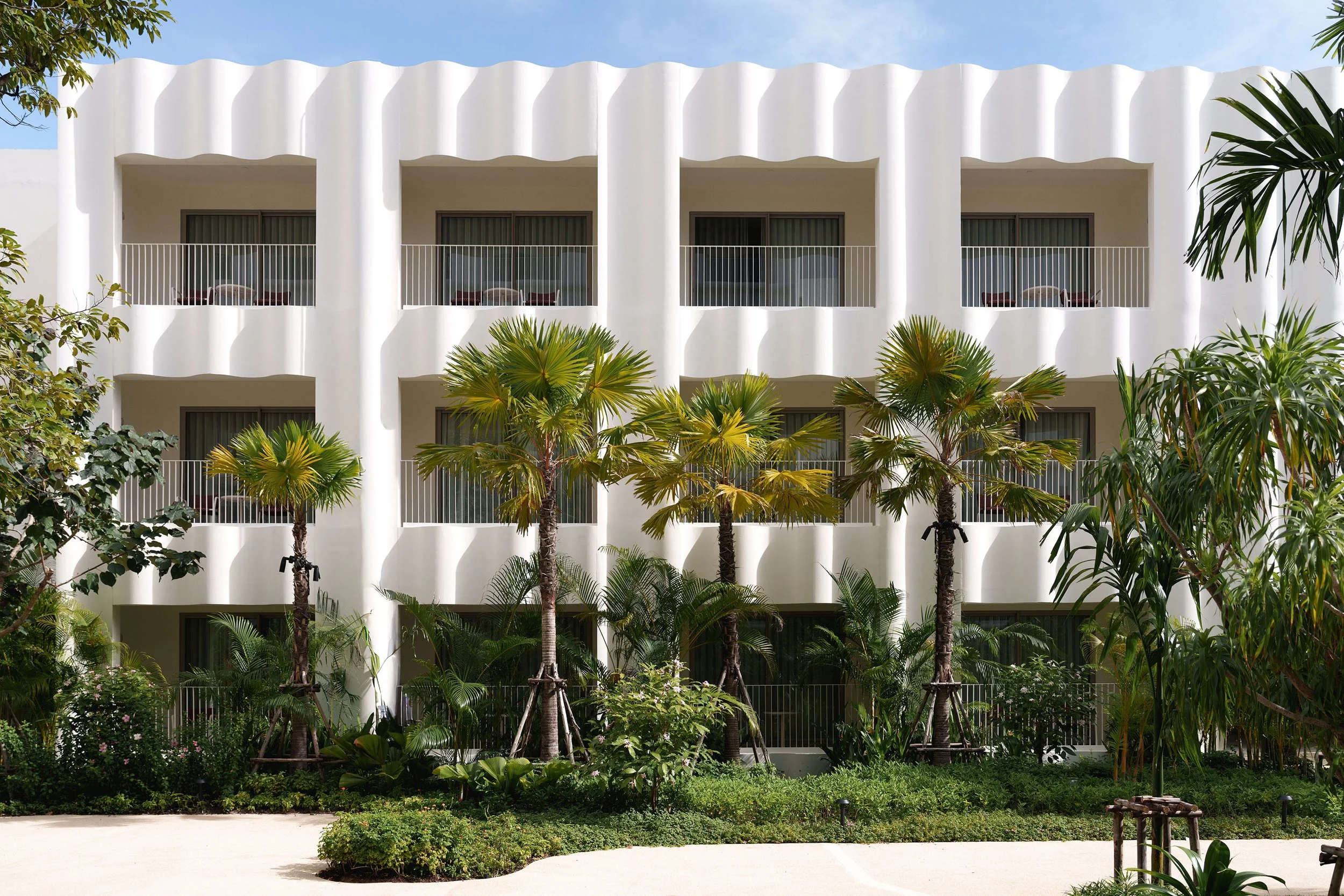 How One Tree Threads Through Every Part of The Standard Pattaya Na Jomtien