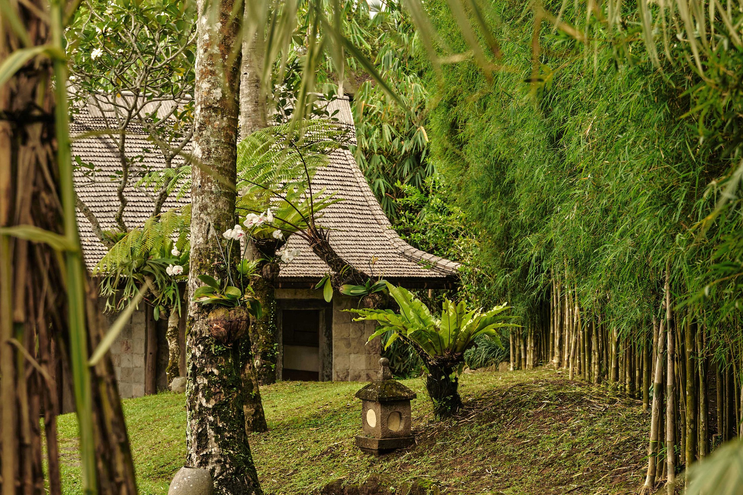 Along Bali’s Sacred River Lies a Home of Buried Teak and River Stone for a Former New York Gallerist