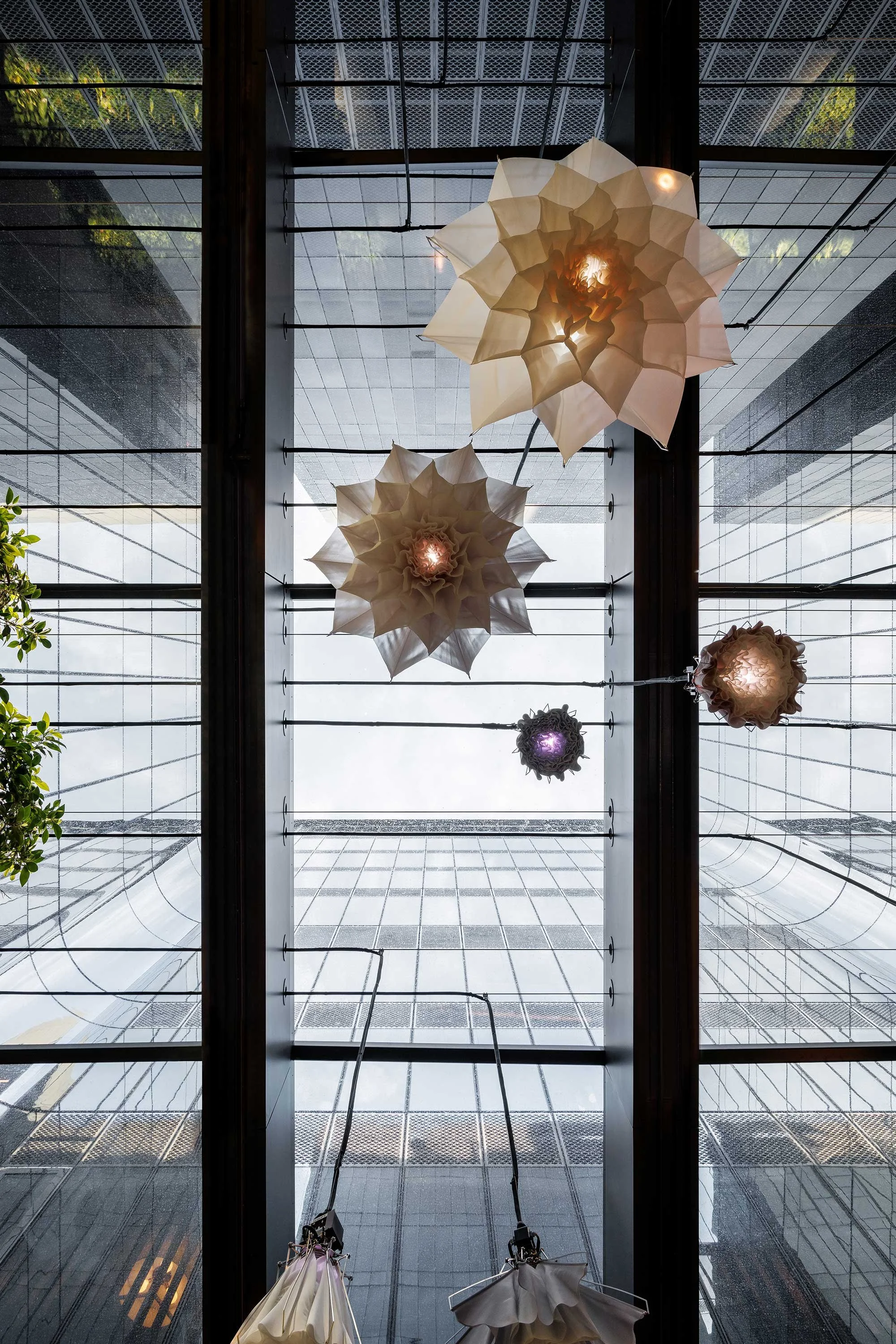 Grand Dame: Capella Sydney — Design Anthology