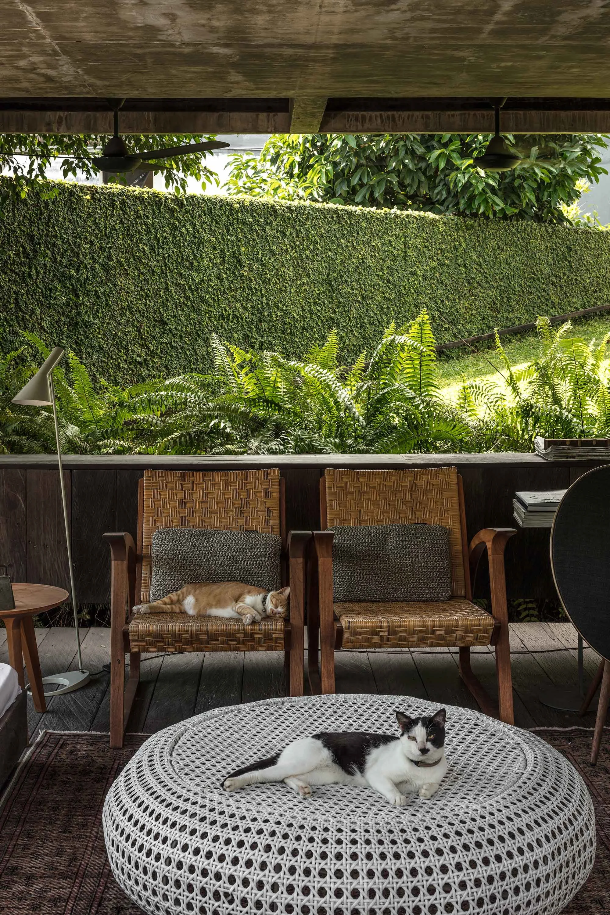 Andra Matin’s Modernist Home Embraces the Elements — Design Anthology