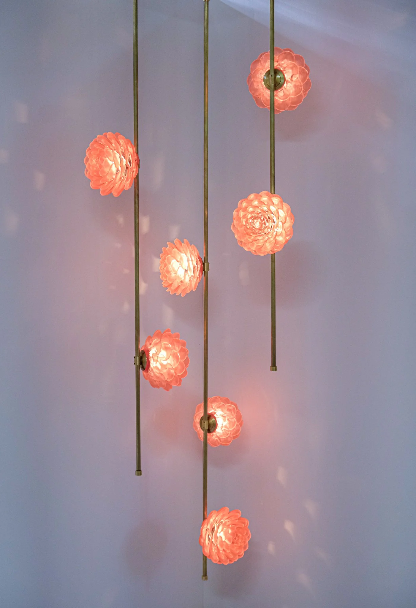 _DSF3474.jpg