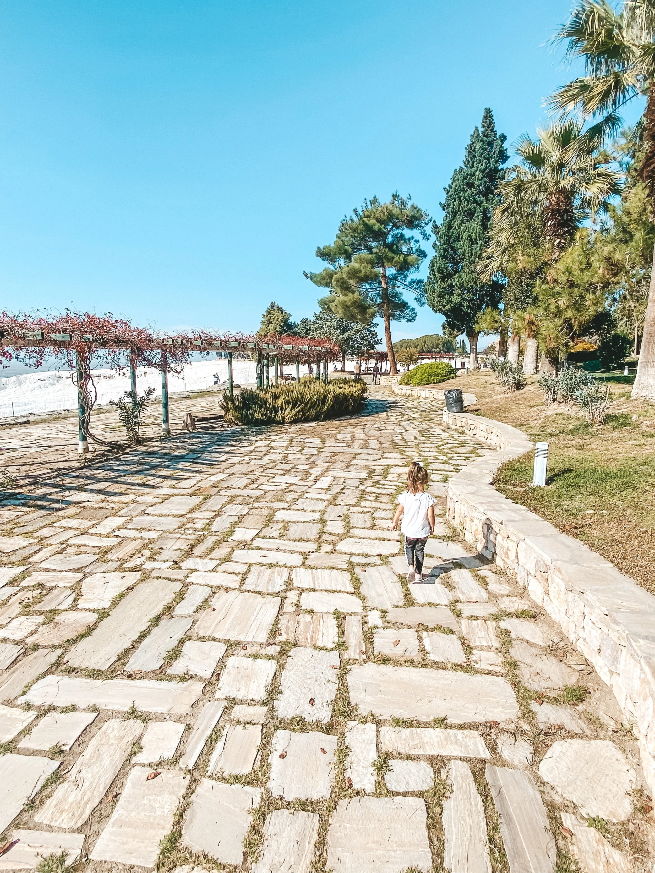 How to use Helium10 to optimize your Amazon SEO