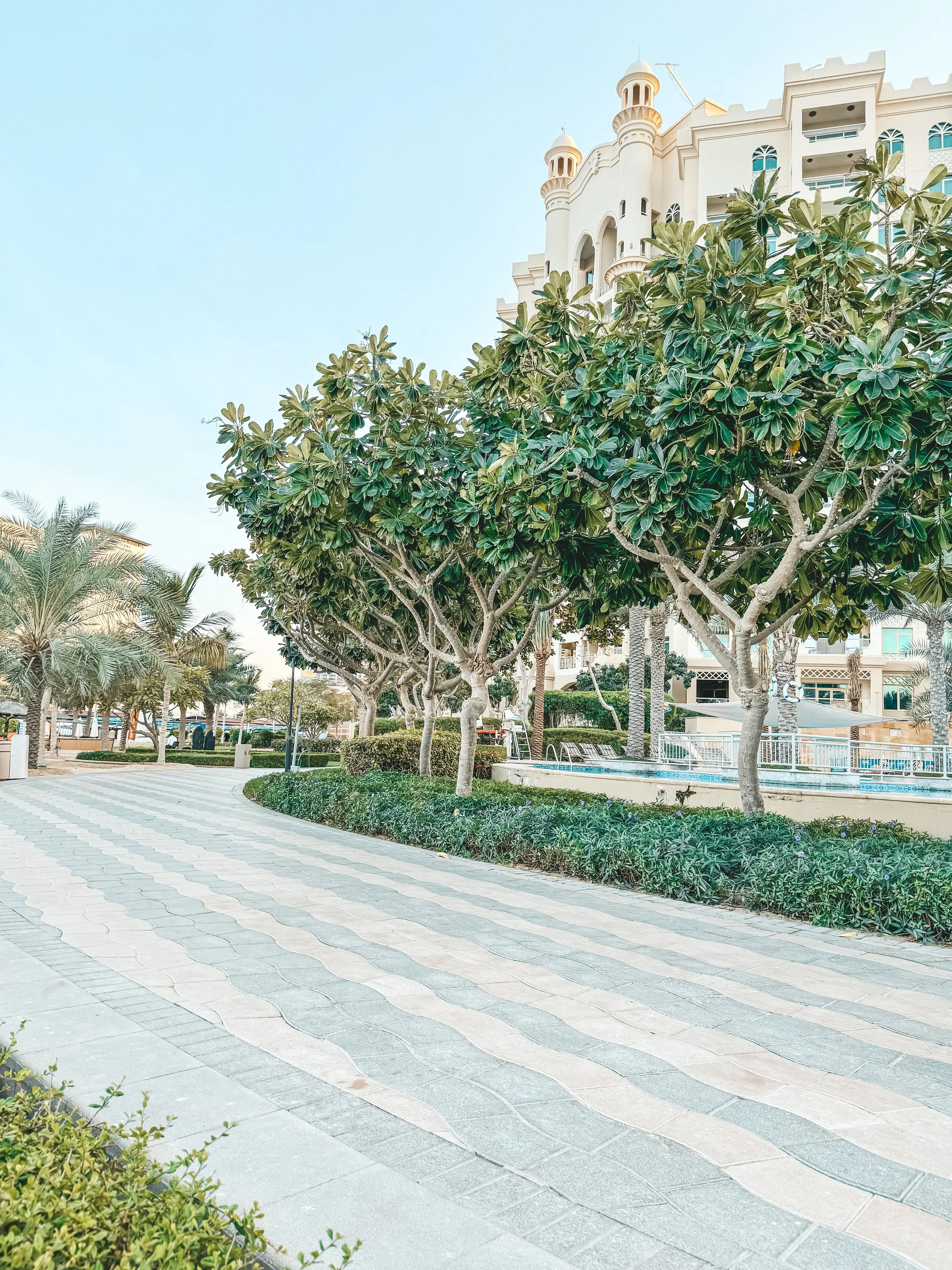 Can I Run a Small Business Without Social Media?