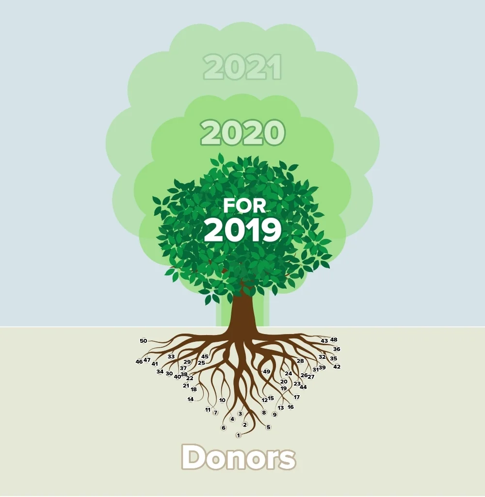RevisedtreeGraph.jpg