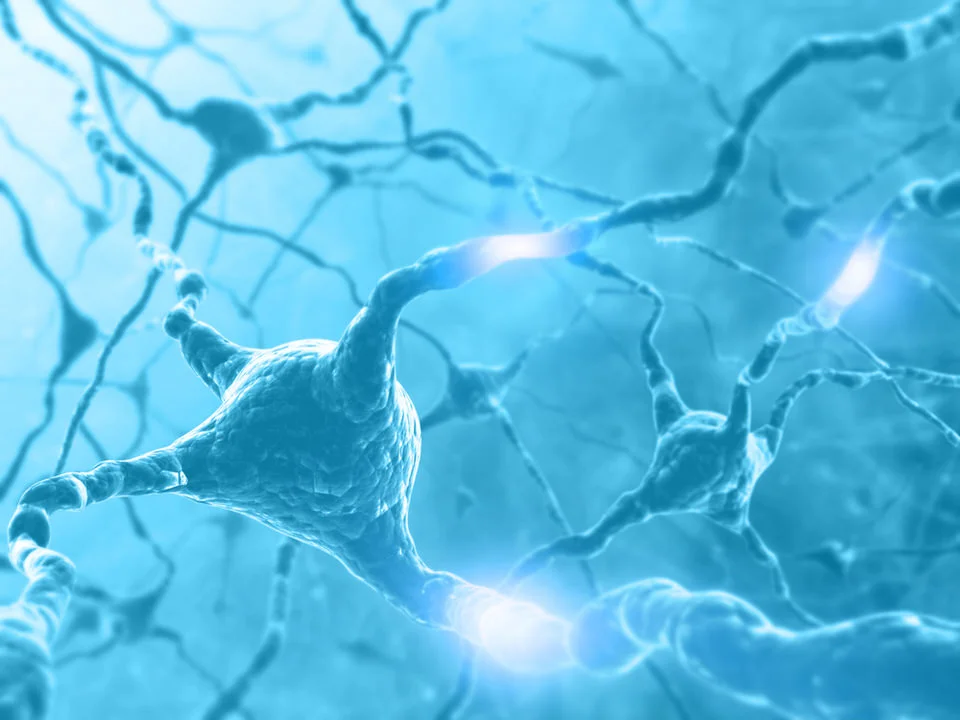 Origins Electrophysiology.jpg