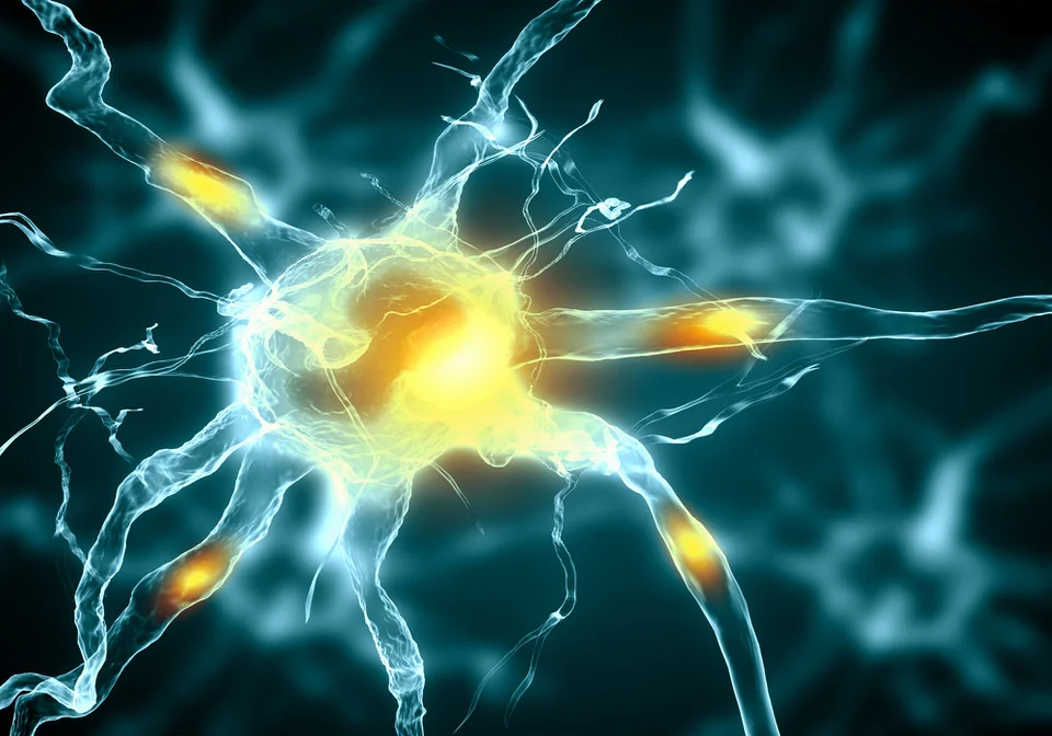 Neuromodulation.jpg
