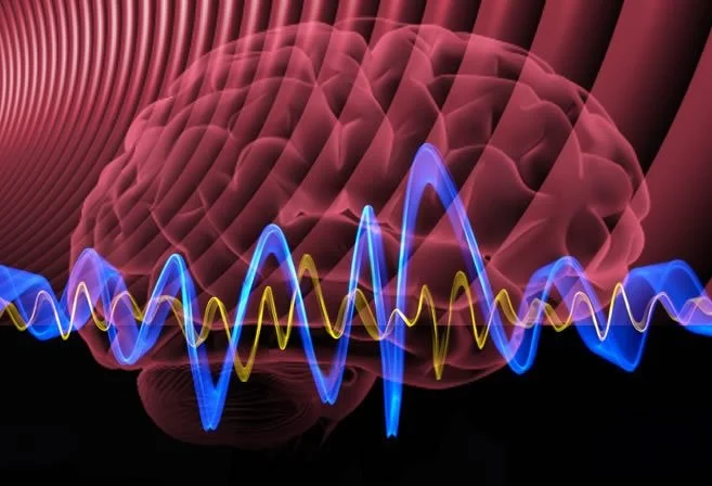 Brain Waves and Their Generators