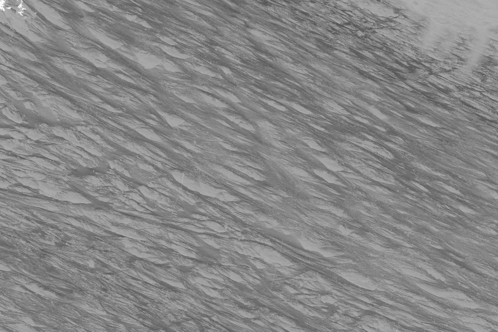 20260308-287A3254.jpg