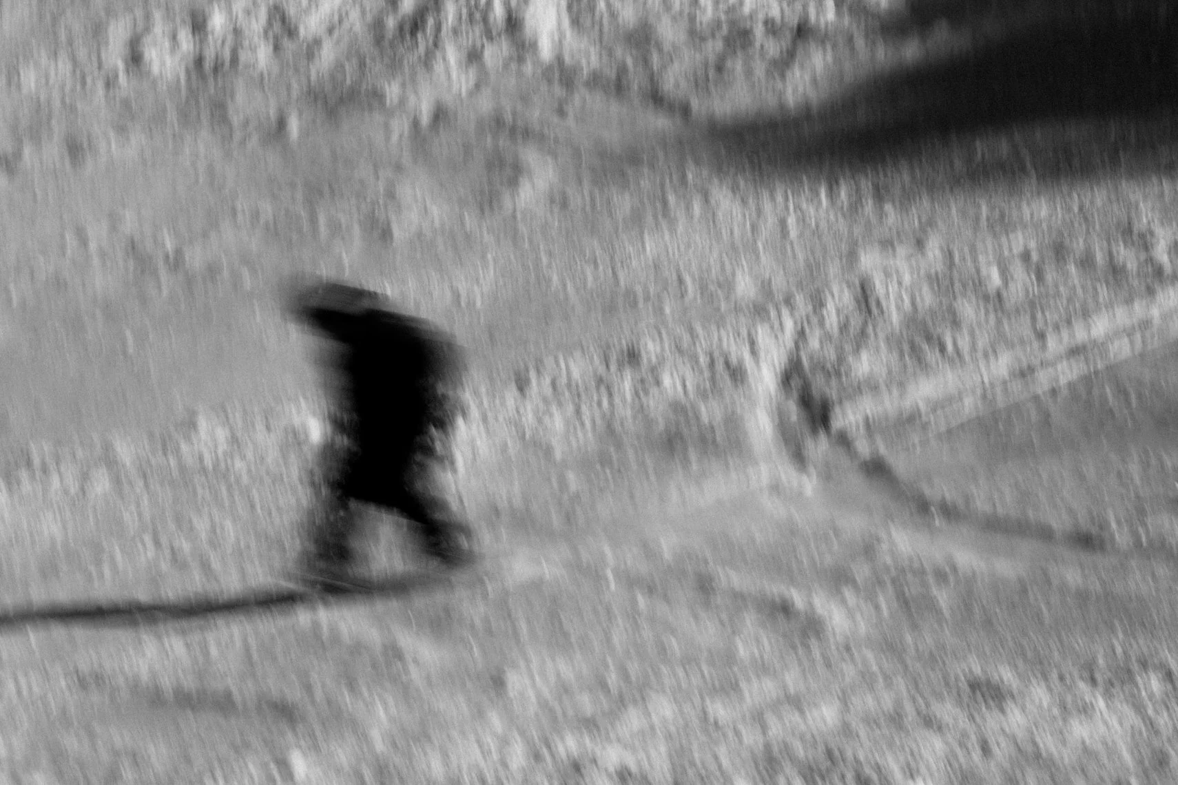 20260308-287A9816.jpg
