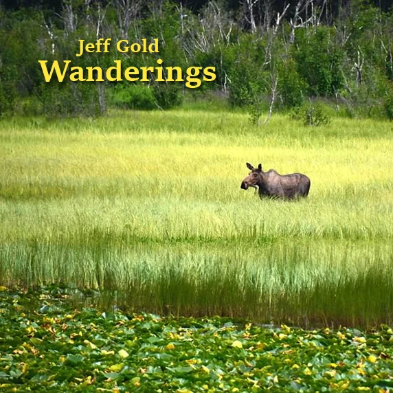 Wanderings front cover.jpg