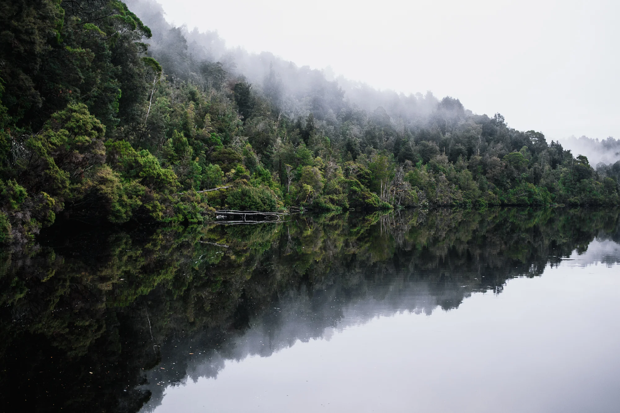 GORDONS MIST As the rain subsided after a long journey up the mighty river Gordon, the mist descended and the river went to glass. Location: Gordon River