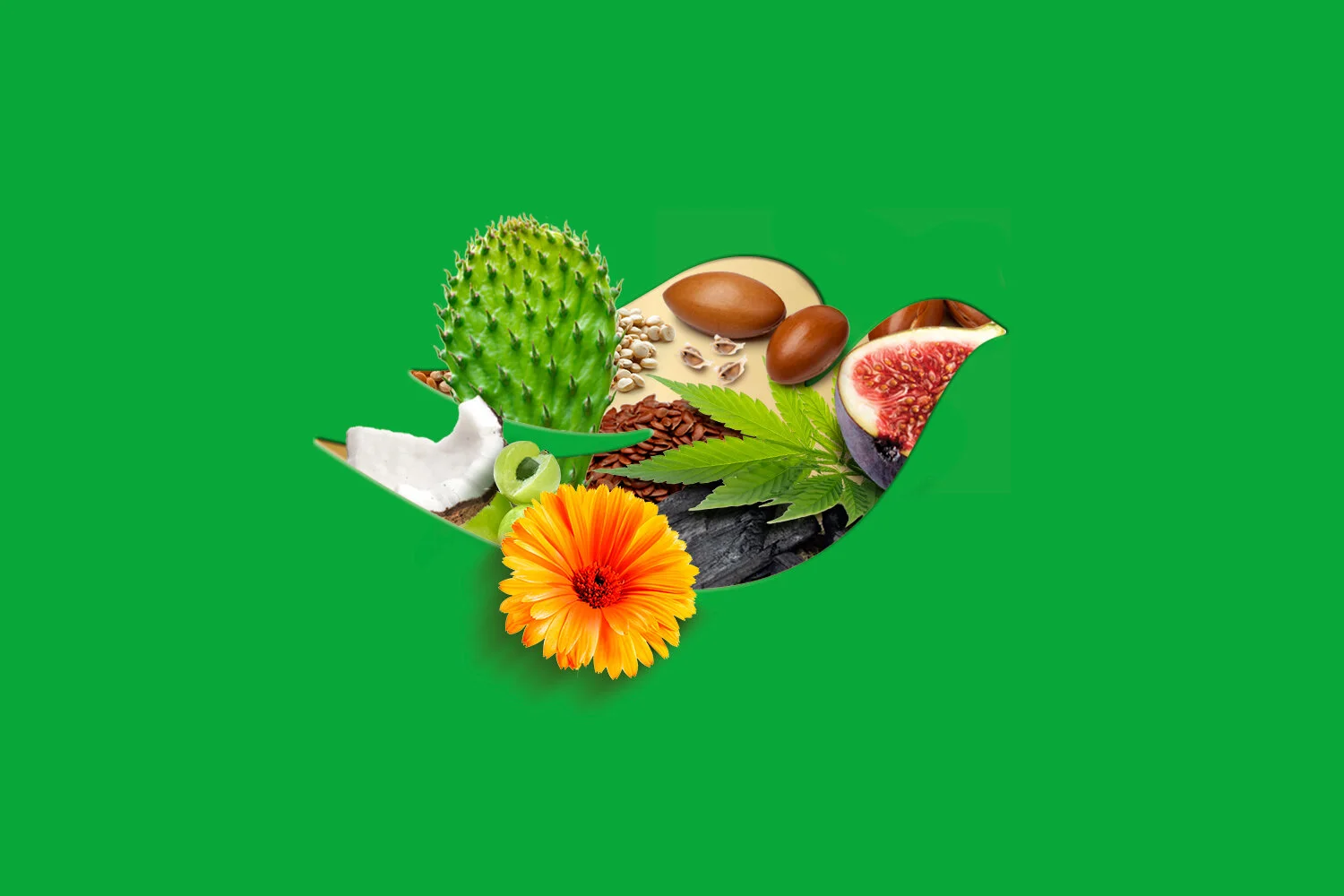 Dove-Intro-Hair.jpg
