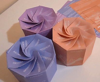 corals square.gif