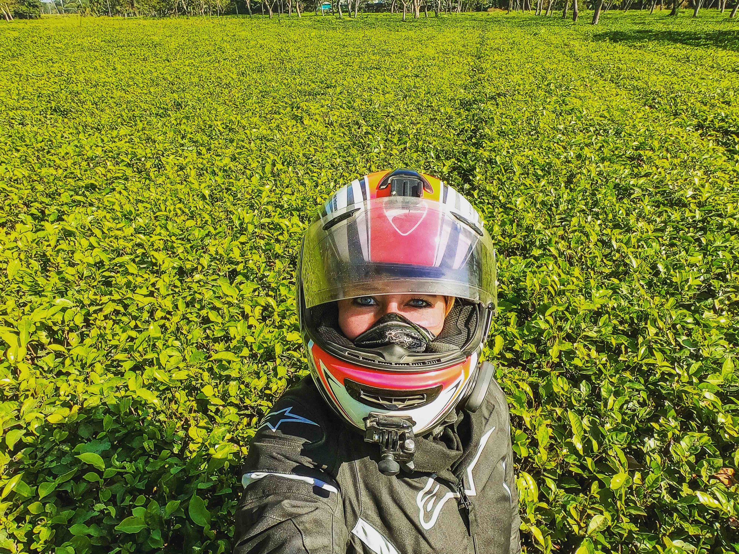 Tea+Estates+between+Darjeeling+and+Cooch+Bihar.jpeg