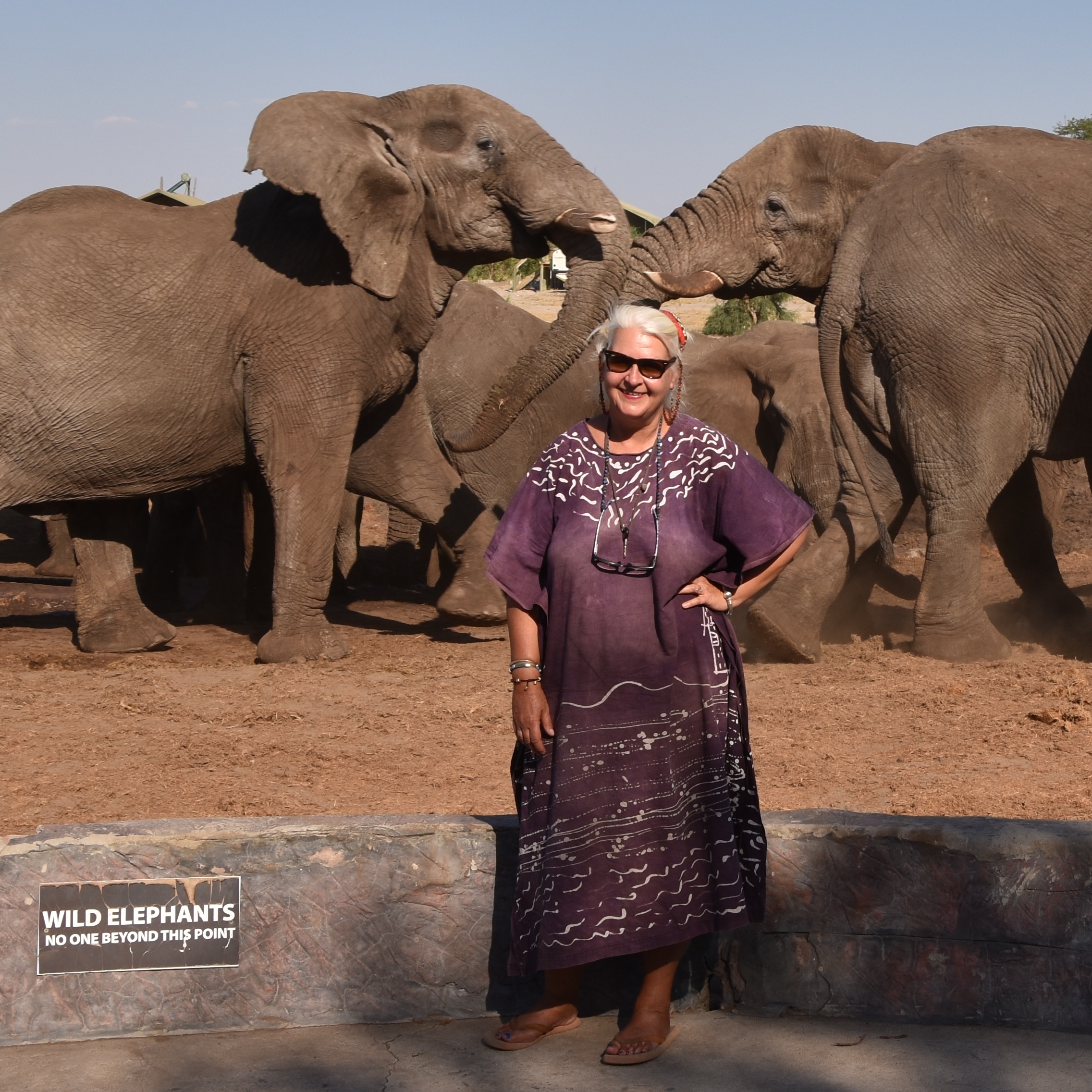 I feel happiest amongst wild animals.