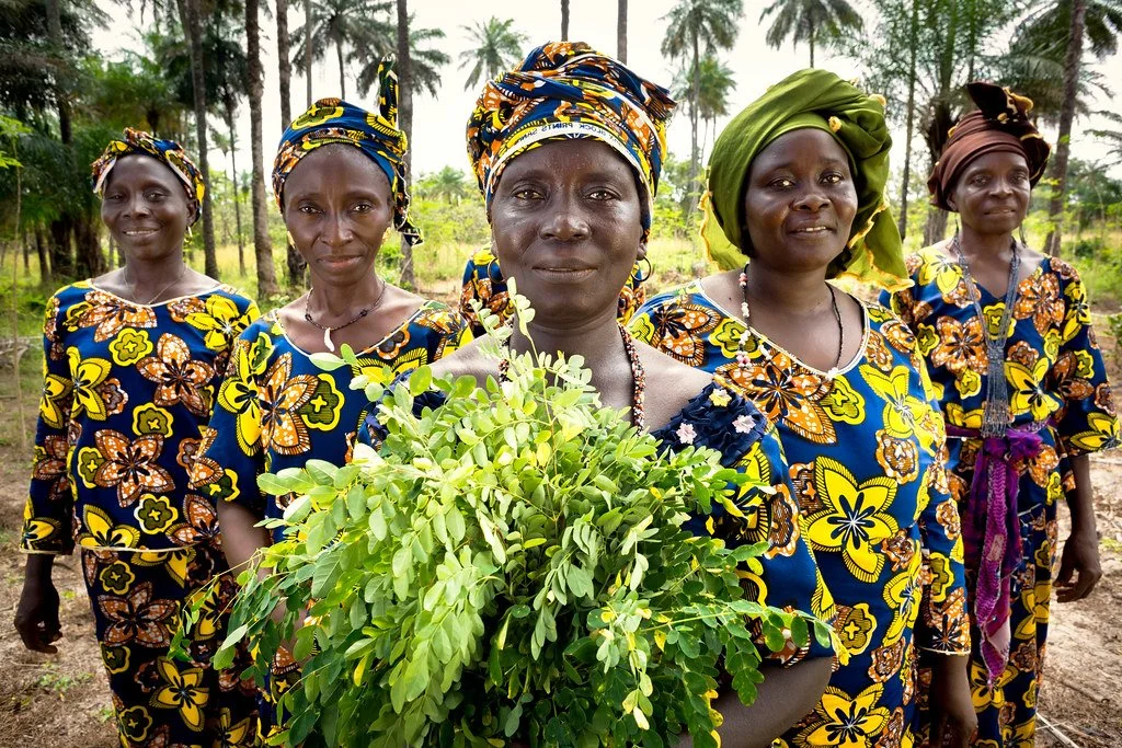 “I am No Man”: Women are the Solution to Climate Change