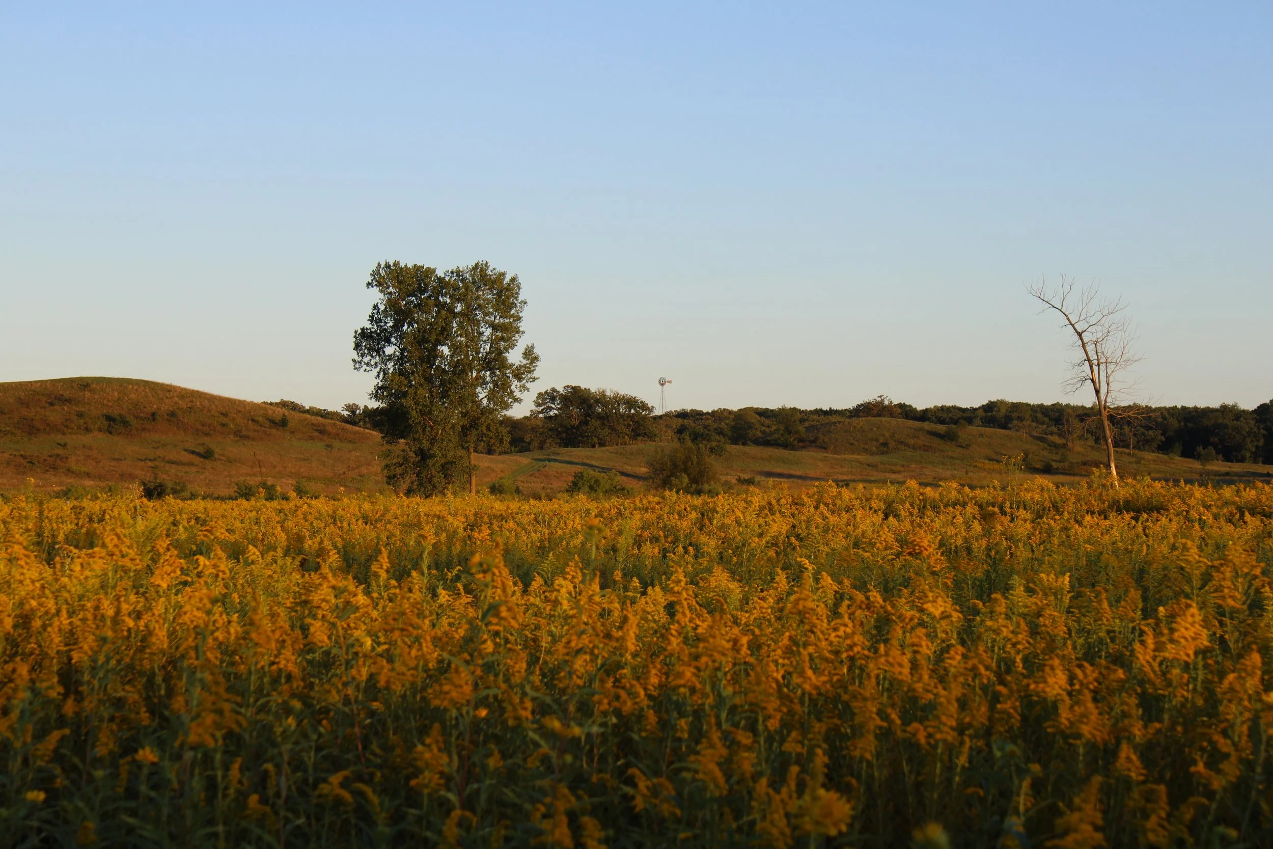 The Climate Change Generation: How Climate Anxiety Affects Young Scientists